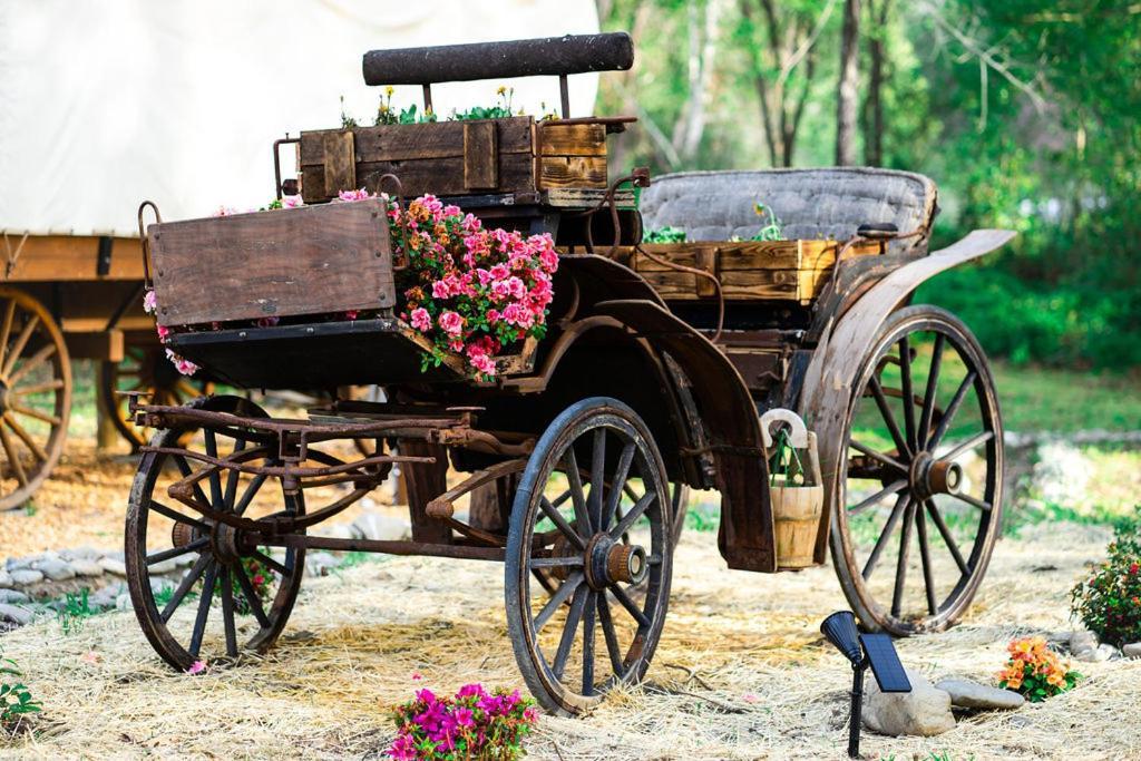 גרנטס פאס Cozy Wild West Covered Wagon Next To River מראה חיצוני תמונה